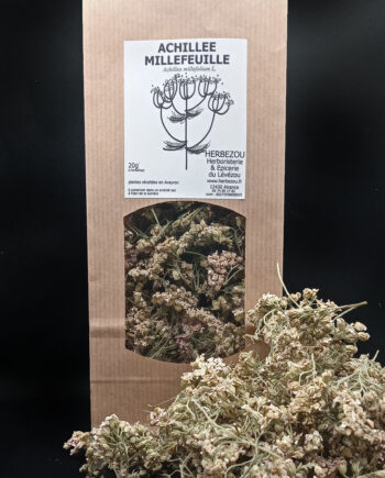 Achillée Millefeuille